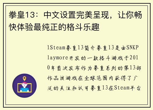 拳皇13：中文设置完美呈现，让你畅快体验最纯正的格斗乐趣